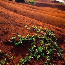 PS1经典游戏《断剑：圣堂武士之谜》将推4K重制版