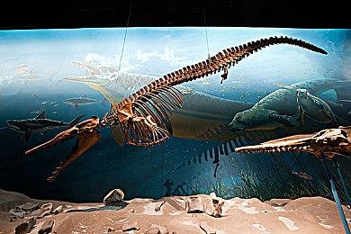 《怪物猎人：荒野》本周新活动任务上线 可获得限定饰品