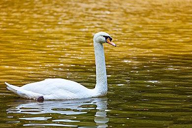 雷军：小米未来10年建至少20座世界顶级工厂